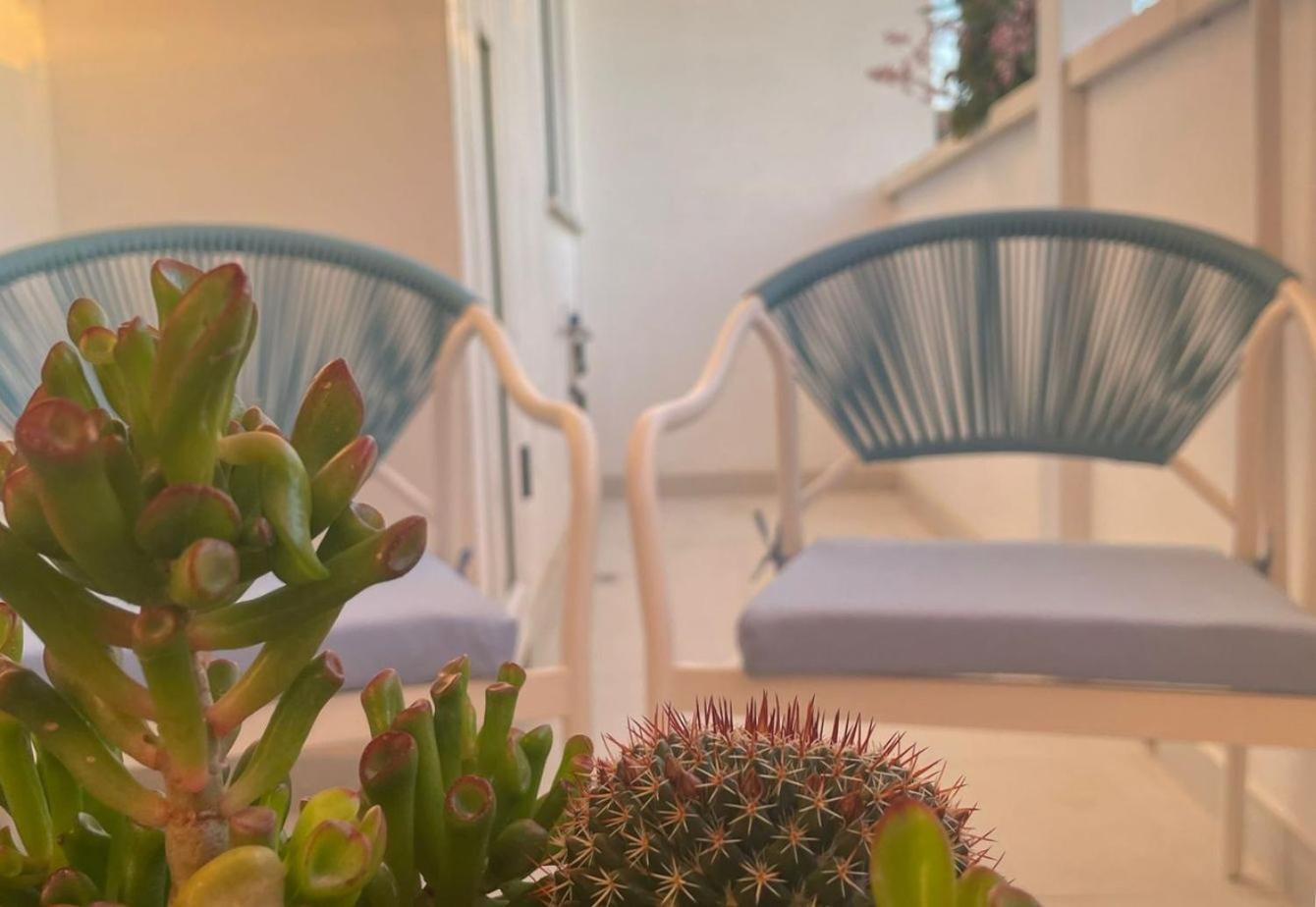 Seashell Guest House Torre Marino Dış mekan fotoğraf
